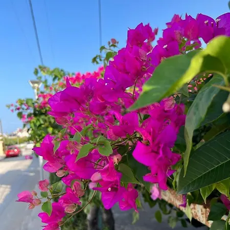 בית נופש Mediterranean Retreat האראקי