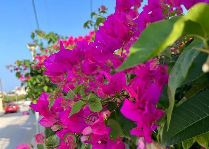 Feriehus Mediterranean Retreat Haraki